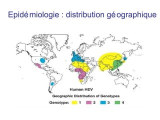 Epidémiologie : distribution géographique 