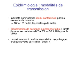 Epidémiologie : modalités de transmission Indirecte par ingestion  d’eau contaminée  par les excréments humains 10 6  à 10 8  particules virales/g de selles Transmission de personne à personne faible  : rareté des cas secondaires (0,7 à 2% vs 50 à 70% pour le VHA) Les aliments ont un rôle secondaire : coquillage et crudités lavées ou « rafraîchies » 