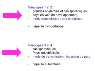 Génotypes 1 et 2 :  grandes épidémies et cas sporadiques,  pays en voie de développement, mode transmission : eau de boisson hépatite d’importation Génotypes 3 et 4 :  cas sporadiques,  Pays industrialisés,  mode de transmission : ingestion de porc hépatite autocht one 
