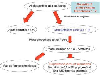 Adolescents et adultes jeunes Manifestations cliniques : 1/3 Incubation de 40 jours Phase prodromique de 3 à 7 jours Phase ictérique de 1 à 2 semaines Asymptomatique : 2/3 Pas de formes chroniques Hépatites sévères et fulminantes Mortalité de 0,5 à 4% pop générale 10 à 42% femmes enceintes Hépatite E  d’importation Génotypes 1, 2 