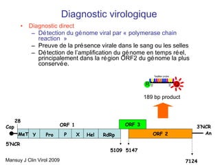 Diagnostic virologique Diagnostic direct Détection du génome viral par « polymerase chain reaction » Preuve de la présence virale dans le sang ou les selles Détection de l’amplification du génome en temps réel, principalement dans la région ORF2 du génome la plus conservée. Mansuy J Clin Virol 2009 MeT Y Pro P X Hel RdRp 5’NCR ORF 2 ORF 3 An 3’NCR Cap 28 7124 5147 5109 ORF 1 189 bp product 