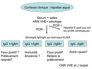Contexte clinique : hépatite aigu ë Sérum + selles ARN VHE+ sérologie CNR VHE et J Izopet PCR + Hépatite E quel que soit les profils sérologiques PCR - Sérologie IgG/IgM par technique ELISA IgG +/IgM+ IgG -/IgM+ IgG +/IgM- IgG -/IgM- Autre cause? Immunité  Ancienne ? Faux positif Refaire le prélèvement Faux positif ? Prélèvement  retardé? 