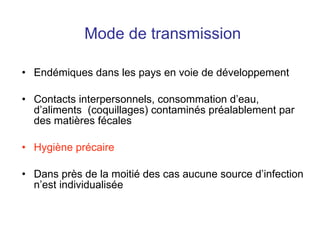 Mode de transmission Endémiques dans les pays en voie de développement Contacts interpersonnels, consommation d’eau, d’aliments  (coquillages) contaminés préalablement par des matières fécales Hygiène précaire Dans près de la moitié des cas aucune source d’infection n’est individualisée 