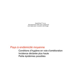 QuickTime™ et un
              décompresseur TIFF (non compressé)
             sont requis pour visionner cette image.




Pays à endémicité moyenne
     Conditions d’hygiène en voie d’amélioration
     Incidence déclarée plus haute
     Petite épidémies possibles
 
