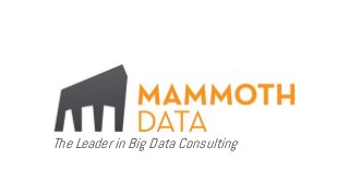 The Leader in Big Data Consulting
 