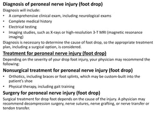 Peroneal superficial nerve | PPTX