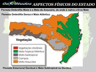 ASPECTOS FÍSICOS DO ESTADO Vegetação Floresta Ombrófila Densa é Mata Atlântica. Floresta Estacional Decidual é Mata Subtropical ou Decídua. Floresta Ombrófila Mista é a Mata de Araucária, de onde é nativa a Erva Mate  