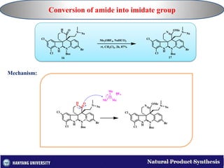 Total Synthesis of (+)-Perophoramidine | PPTX