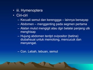 iii. Hymenoptera Ciri-ciri Kecuali semut dan kerenggga – lainnya bersayap Abdomen – menggenting pada segmen pertama Alatan mulut mengigit atau dgn belalai panjang utk menghisap Hujung abdomen terdpt ovipositor (betina) diubahsuai untuk memotong, mencucuk dan menyengat. Con. Lebah, tebuan, semut 