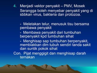 4. Menjadi vektor penyakit – PMV, Mosek Serangga boleh menyebar penyakit yang di sbbkan virus, bakteria dan protozoa. -  Meletakan telur, menusuk tisu bersama pembawa penyakit - Membawa penyakit dari tumbuhan berpenyakit kpd tumbuhan sihat - Menghisap sap tumbuhan berpenyakit, membiakkan dlm tubuh sendiri tanda sakit dan suntik pokok sihat Con.  Pijat menggigit dan menghisap darah ternakan 