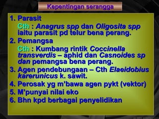 Kepentingan serangga 1.  Parasit  Cth   :  Anagrus spp  dan  Oligosita spp  iaitu parasit pd telur bena perang. 2.  Pemangsa  Cth  : Kumbang rintik  Coccinella transverdis  – aphid dan  Casnoides sp dan  pemangsa bena perang.  3.  Agen pendebungaan – Cth  Elaeidobius karerunicus  k. sawit. 4. Perosak yg m’bawa agen pykt (vektor)  5. M’punyai nilai eko 6. Bhn kpd berbagai penyelidikan 