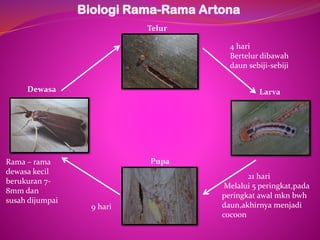 PEROSAK TANAMAN KELAPA | PDF