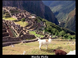 Machu Pichu
 