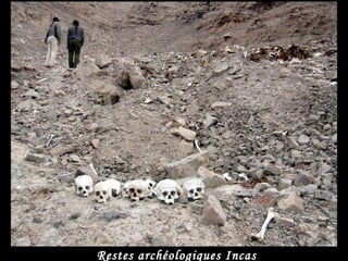 Restes archéologiques Incas
 