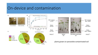 On-device and contamination
plants grown on perovskite-contaminated soil
 
