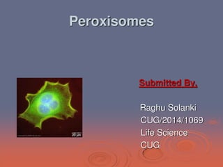 Peroxisomes
Submitted By,
Raghu Solanki
CUG/2014/1069
Life Science
CUG
 