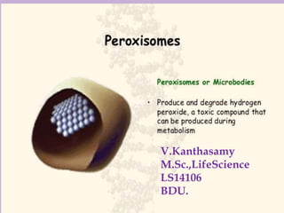 Peroxisomes
v.kanthasamy.
V.Kanthasamy
M.Sc.,LifeScience
LS14106
BDU.
 
