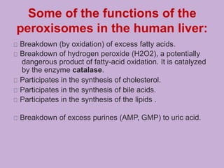 Some of the functions of the
peroxisomes in the human liver:
Breakdown (by oxidation) of excess fatty acids.
Breakdown of hydrogen peroxide (H2O2), a potentially
dangerous product of fatty-acid oxidation. It is catalyzed
by the enzyme catalase.
Participates in the synthesis of cholesterol.
Participates in the synthesis of bile acids.
Participates in the synthesis of the lipids .
Breakdown of excess purines (AMP, GMP) to uric acid.
 