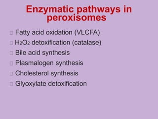 Enzymatic pathways in
peroxisomes
Fatty acid oxidation (VLCFA)
H2O2 detoxification (catalase)
Bile acid synthesis
Plasmalogen synthesis
Cholesterol synthesis
Glyoxylate detoxification
 