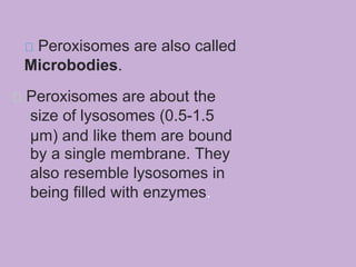Peroxisomes are also called
Microbodies.
Peroxisomes are about the
size of lysosomes (0.5-1.5
µm) and like them are bound
by a single membrane. They
also resemble lysosomes in
being filled with enzymes.
 