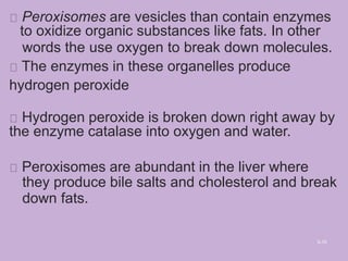 Peroxisomes are vesicles than contain enzymes
to oxidize organic substances like fats. In other
words the use oxygen to break down molecules.
The enzymes in these organelles produce
hydrogen peroxide
Hydrogen peroxide is broken down right away by
the enzyme catalase into oxygen and water.
Peroxisomes are abundant in the liver where
they produce bile salts and cholesterol and break
down fats.
3-10
 