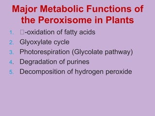 Major Metabolic Functions of
the Peroxisome in Plants
1. -oxidation of fatty acids
2. Glyoxylate cycle
3. Photorespiration (Glycolate pathway)
4. Degradation of purines
5. Decomposition of hydrogen peroxide
 