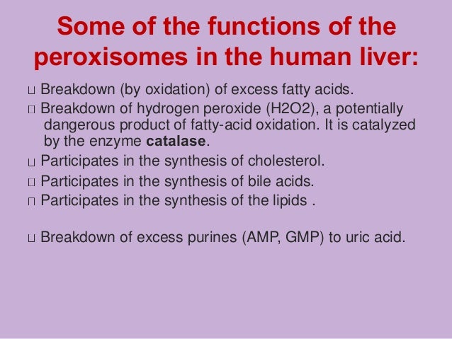 Peroxisome