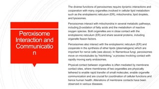 Peroxisome
Interaction and
Communicatio
n
The diverse functions of peroxisomes require dynamic interactions and
cooperation with many organelles involved in cellular lipid metabolism
such as the endoplasmic reticulum (ER), mitochondria, lipid droplets,
and lysosomes.
Peroxisomes interact with mitochondria in several metabolic pathways,
including β-oxidation of fatty acids and the metabolism of reactive
oxygen species. Both organelles are in close contact with the
endoplasmic reticulum (ER) and share several proteins, including
organelle fission factors.
Peroxisomes also interact with the endoplasmic reticulum (ER) and
cooperate in the synthesis of ether lipids (plasmalogens) which are
important for nerve cells (see above). In filamentous fungi, peroxisomes
move on microtubules by 'hitchhiking,' a process involving contact with
rapidly moving early endosomes.
Physical contact between organelles is often mediated by membrane
contact sites, where membranes of two organelles are physically
tethered to enable rapid transfer of small molecules, enable organelle
communication and are crucial for coordination of cellular functions and
hence human health. Alterations of membrane contacts have been
observed in various diseases.
 
