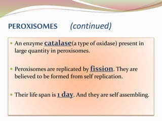  An enzyme catalase(a type of oxidase) present in
large quantity in peroxisomes.
 Peroxisomes are replicated by fission. They are
believed to be formed from self replication.
 Their life span is 1 day. And they are self assembling.
PEROXISOMES (continued)
 