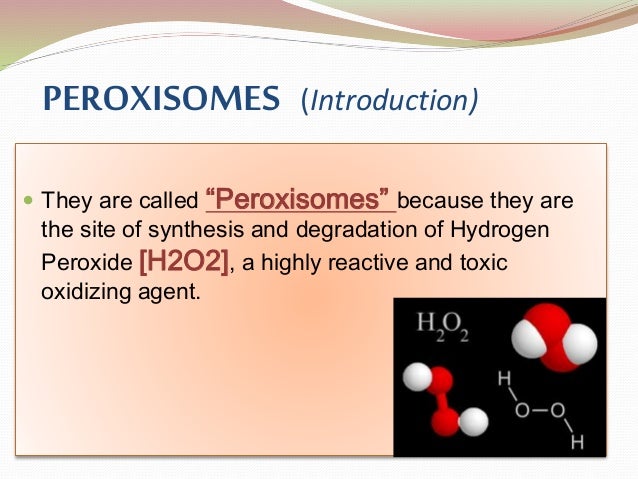 Peroxisomes