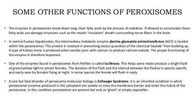 Peroxisomes