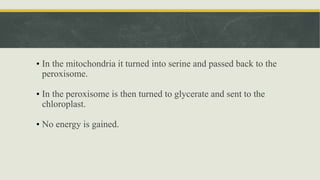 • In the mitochondria it turned into serine and passed back to the
peroxisome.
• In the peroxisome is then turned to glycerate and sent to the
chloroplast.
• No energy is gained.
 
