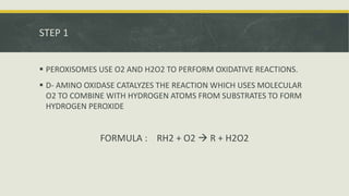STEP 1
 PEROXISOMES USE O2 AND H2O2 TO PERFORM OXIDATIVE REACTIONS.
 D- AMINO OXIDASE CATALYZES THE REACTION WHICH USES MOLECULAR
O2 TO COMBINE WITH HYDROGEN ATOMS FROM SUBSTRATES TO FORM
HYDROGEN PEROXIDE
FORMULA : RH2 + O2  R + H2O2
 