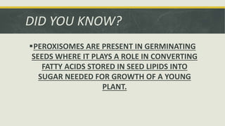 DID YOU KNOW?
PEROXISOMES ARE PRESENT IN GERMINATING
SEEDS WHERE IT PLAYS A ROLE IN CONVERTING
FATTY ACIDS STORED IN SEED LIPIDS INTO
SUGAR NEEDED FOR GROWTH OF A YOUNG
PLANT.
 