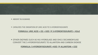  ABSENT IN HUMANS
 CATALYZES THE OXIDATION OF URIC ACID TO 5-HYDROXYISOURATE
FORMULA: URIC ACID + O2 + H2O  5-HYDROXYISOURATE + H2o2
 OTHER ENZYMES SUCH AS HIU HYDROLASE AND OHCU DECARBOXYLASE
CONVERT THE 5-HYDROXYISOURATE TO ALLANTOIN AND CARBON DIOXIDE
FORMULA: 5-HYDROXYISOURATE +H2O  ALLANTOIN + CO2
 