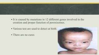 • It is caused by mutations in 12 different genes involved in the
creation and proper function of peroxisomes.
• Various test are used to detect at birth.
• There are no cures
 