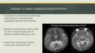 DISEASE: X-LINKED ADRENOLEUKODYSTROPHY
 CAUSED BY A MUTATION ON GENE XQ28
THAT ENCODES A PEROXISOMAL
MEMBRANE PROTEIN ALD PROTEIN
 WITHOUT ALD PROTEIN, LONG CHAINS
OF FATTY ACIDS ACCUMULATE IN
ADRENAL CORTEX AND GLIAL CELLS
 THIS RESULT IN ADRENAL TROPHY,
VISUAL LOSS AND SPASTICITY.
 