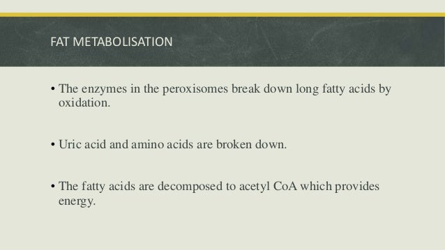 Peroxisomes ppt (introduction structure & function)