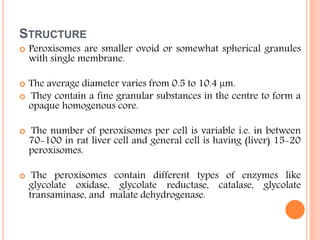 STRUCTURE
 Peroxisomes are smaller ovoid or somewhat spherical granules
with single membrane.
 The average diameter varies from 0.5 to 10.4 µm.
 They contain a fine granular substances in the centre to form a
opaque homogenous core.
 The number of peroxisomes per cell is variable i.e. in between
70-100 in rat liver cell and general cell is having (liver) 15-20
peroxisomes.
 The peroxisomes contain different types of enzymes like
glycolate oxidase, glycolate reductase, catalase, glycolate
transaminase, and malate dehydrogenase.
 