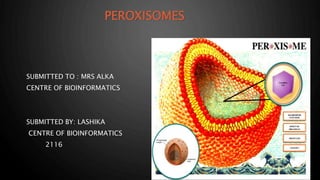 PEROXISOMES
SUBMITTED TO : MRS ALKA
CENTRE OF BIOINFORMATICS
SUBMITTED BY: LASHIKA
CENTRE OF BIOINFORMATICS
2116
 