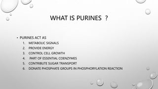 WHAT IS PURINES ?
• PURINES ACT AS
1. METABOLIC SIGNALS
2. PROVIDE ENERGY
3. CONTROL CELL GROWTH
4. PART OF ESSENTIAL COENZYMES
5. CONTRIBUTE SUGAR TRANSPORT
6. DONATE PHOSPHATE GROUPS IN PHOSPHORYLATION REACTION
 