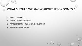 WHAT SHOULD WE KNOW ABOUT PEROXISOMES ?
1. HOW IT WORKS ?
2. WHAT ARE THE DISEASE ?
3. PEROXISOMES IN OUR IMMUNE SYSTEM ?
4. ABOUT GLYOXSOMES ?
 