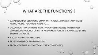 WHAT ARE THE FUNCTIONS ?
• CATABOLISM OF VERY LONG CHAIN FATTY ACIDS , BRANCH FATTY ACIDS ,
AMINO ACIDS , POLYMERS AND ETC……
• DECOMPOSITION OF H2O2 (REACTIVE OXYGEN SPECIES). POTENTIALLY
DANGEROUS PRODUCT OF FATTY ACID OXIDATION . IT IS CATALYZED BY THE
ENZYME CATALASE .
• H2O2 - HYDROGEN PEROXIDE .
• BIO SYNTHESIS OF PLASMALOGENS .
• PRODUCTION OF ACETYL CO-A ( IT IS A COMPOUND) .
 