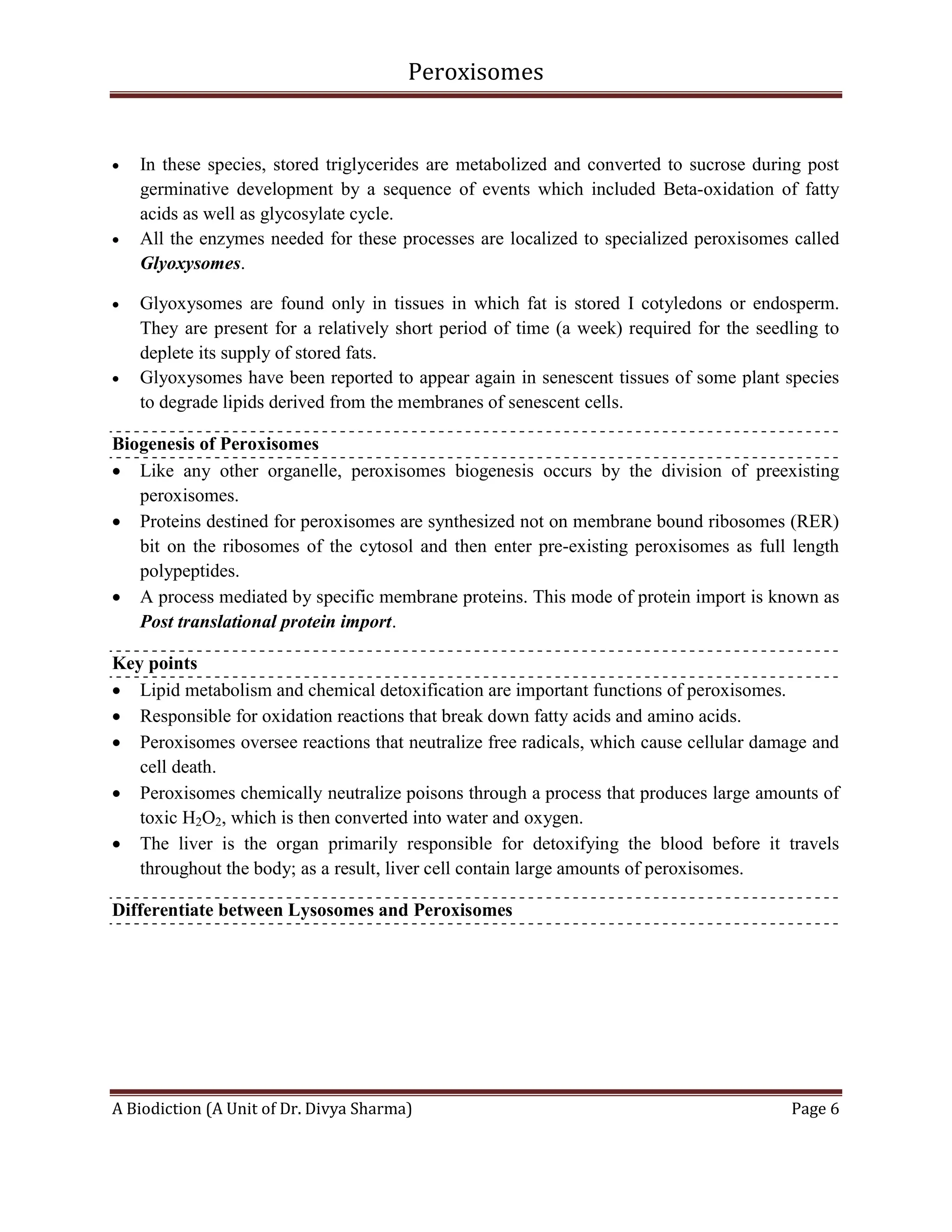 Peroxisomes
A Biodiction (A Unit of Dr. Divya Sharma) Page 6
 In these species, stored triglycerides are metabolized and converted to sucrose during post
germinative development by a sequence of events which included Beta-oxidation of fatty
acids as well as glycosylate cycle.
 All the enzymes needed for these processes are localized to specialized peroxisomes called
Glyoxysomes.
 Glyoxysomes are found only in tissues in which fat is stored I cotyledons or endosperm.
They are present for a relatively short period of time (a week) required for the seedling to
deplete its supply of stored fats.
 Glyoxysomes have been reported to appear again in senescent tissues of some plant species
to degrade lipids derived from the membranes of senescent cells.
Biogenesis of Peroxisomes
 Like any other organelle, peroxisomes biogenesis occurs by the division of preexisting
peroxisomes.
 Proteins destined for peroxisomes are synthesized not on membrane bound ribosomes (RER)
bit on the ribosomes of the cytosol and then enter pre-existing peroxisomes as full length
polypeptides.
 A process mediated by specific membrane proteins. This mode of protein import is known as
Post translational protein import.
Key points
 Lipid metabolism and chemical detoxification are important functions of peroxisomes.
 Responsible for oxidation reactions that break down fatty acids and amino acids.
 Peroxisomes oversee reactions that neutralize free radicals, which cause cellular damage and
cell death.
 Peroxisomes chemically neutralize poisons through a process that produces large amounts of
toxic H2O2, which is then converted into water and oxygen.
 The liver is the organ primarily responsible for detoxifying the blood before it travels
throughout the body; as a result, liver cell contain large amounts of peroxisomes.
Differentiate between Lysosomes and Peroxisomes
 