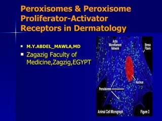 Peroxisomes &  Peroxisome Proliferator-Activator Receptors   in Dermatology ,[object Object],[object Object]