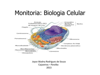 Monitoria: Biologia Celular




      Joyce Wadna Rodrigues de Souza
            Cajazeiras – Paraíba
                    2013
 