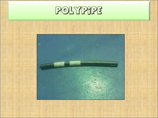 PaipkuprumPaipkuprummerupakanpaip yang diperbuatdaripadakuprum.Alatanseperti Flaring Tool digunakanuntukmembuatbibirpadahujungpaipkuprumsebelumkerjapemasanganpaipdilakukan.Kelebihannya, ialahiatahanpadatekanandansuhu yang tinggisertarintangan karat yang baik.Harganyaagakmahal.