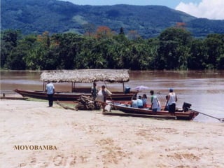 MOYOBAMBA 