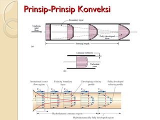 Prinsip-Prinsip KonveksiPrinsip-Prinsip Konveksi
 