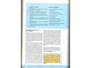 Perpectiva primaria2